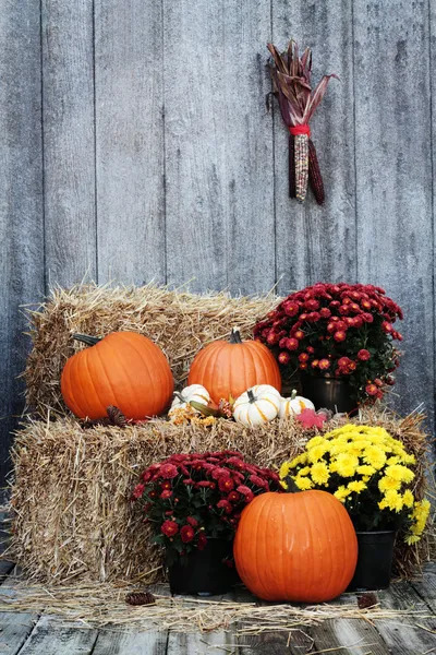 picture of pumpkins and mums on straw bale